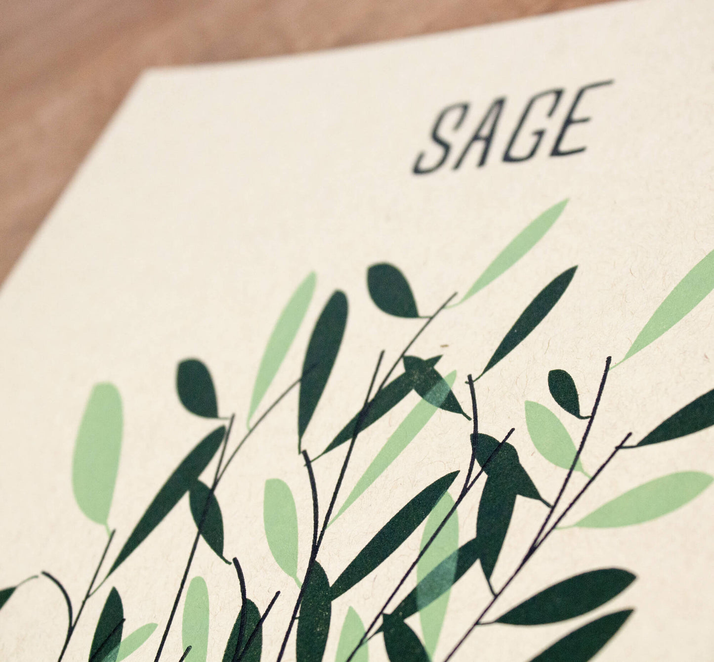Sage 8" x 8" Letterpress Print